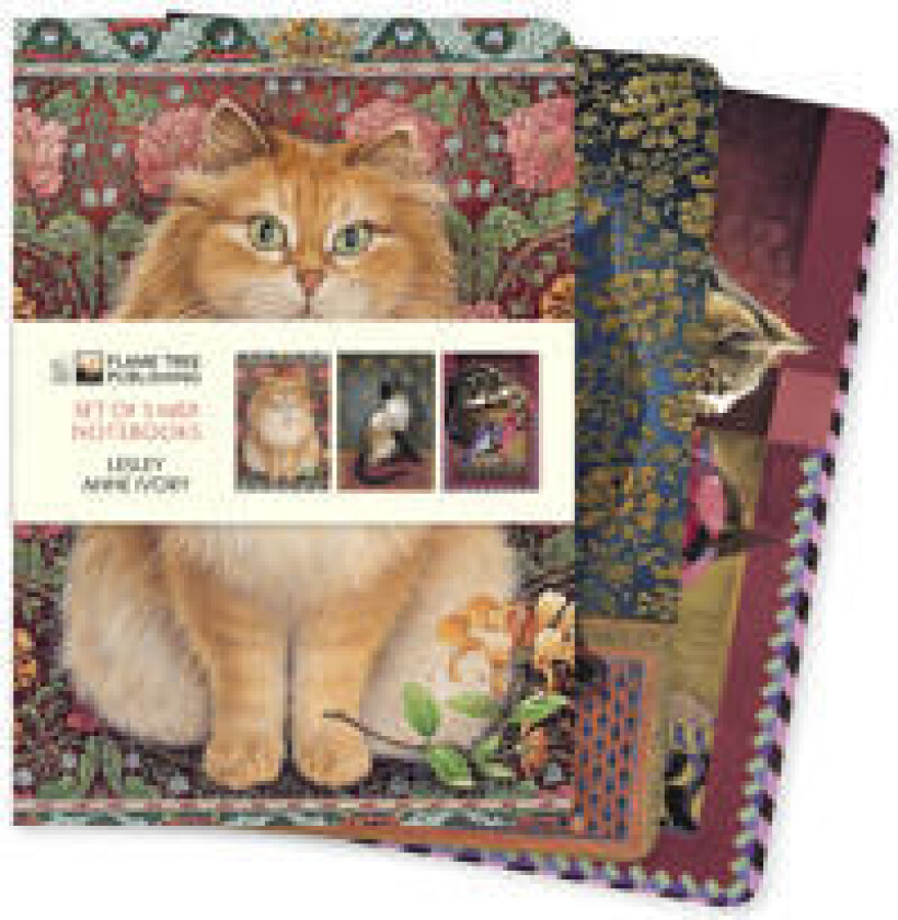 Lesley Anne Ivory Set of 3 Midi Notebooks