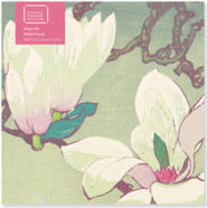 Adult Jigsaw Puzzle NGS: Mabel Royds: Magnolia (500 pieces)