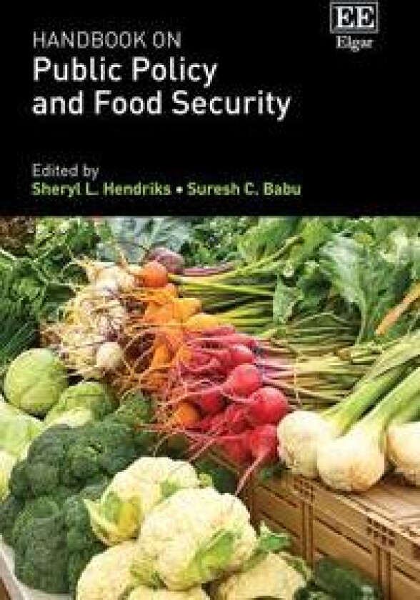 Handbook on Public Policy and Food Security