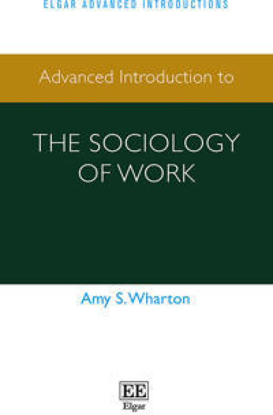 Advanced Introduction to the Sociology of Work