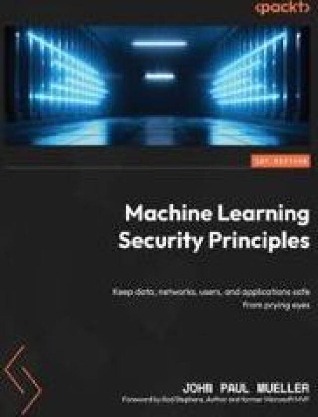 Machine Learning Security Principles