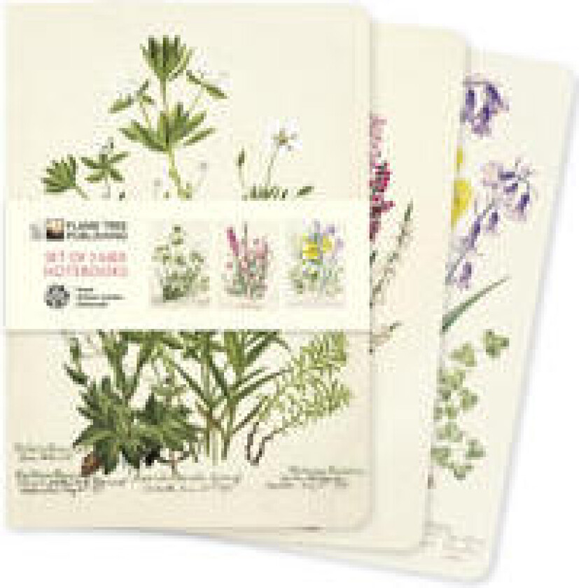 Royal Botanic Garden Edinburgh Set of 3 MIDI Notebooks