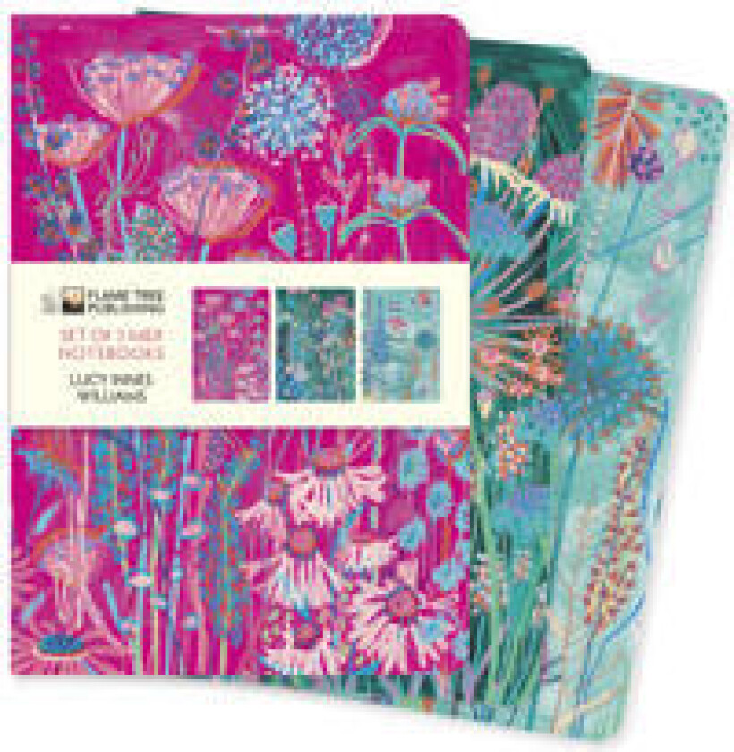 Lucy Innes Williams Set of 3 Midi Notebooks