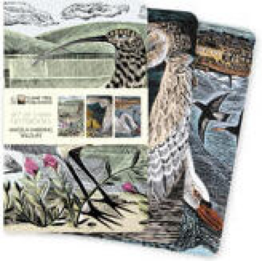 Angela Harding: Wildlife Set of 3 Mini Notebooks