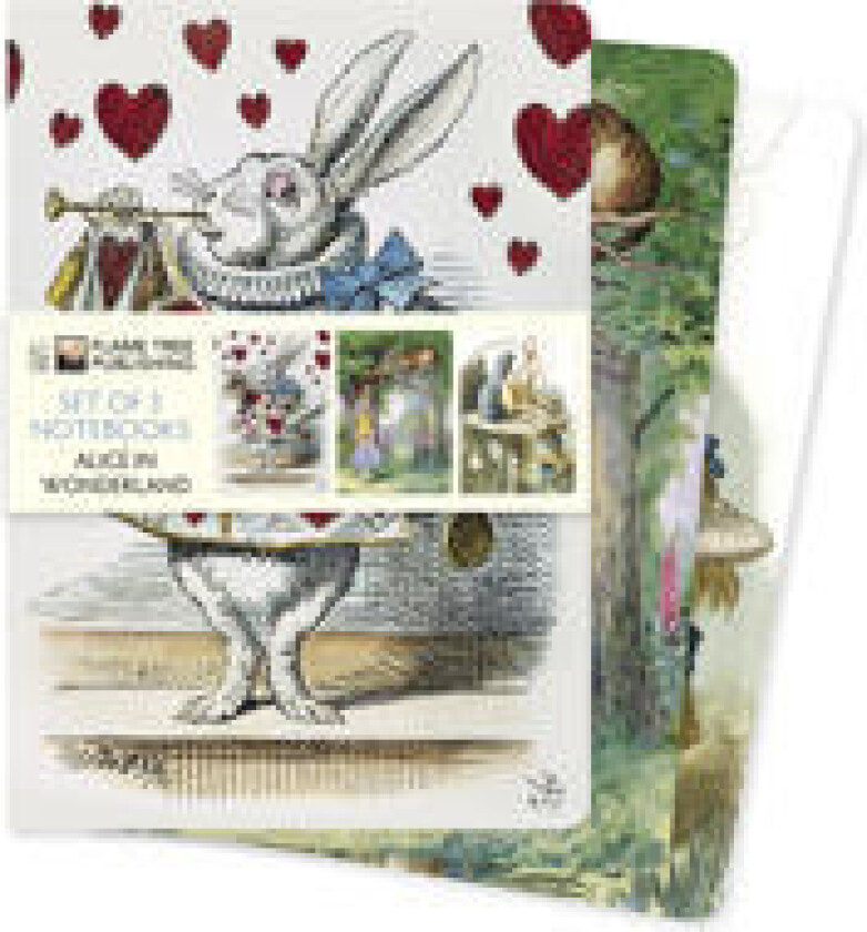 Alice in Wonderland Set of 3 Standard Notebooks