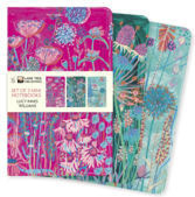 Lucy Innes Williams Set of 3 Mini Notebooks