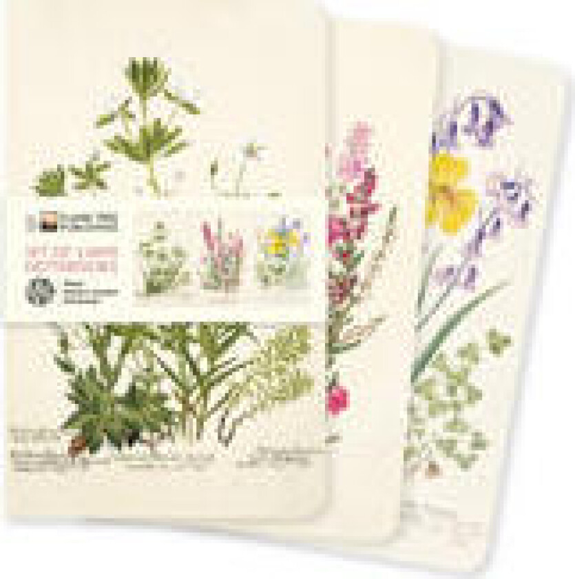 Royal Botanic Garden Edinburgh Set of 3 Mini Notebooks
