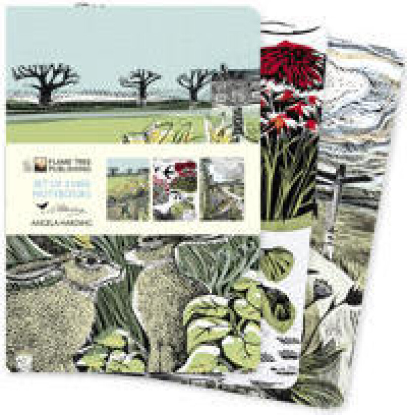 Angela Harding: Landscapes Set of 3 Midi Notebooks