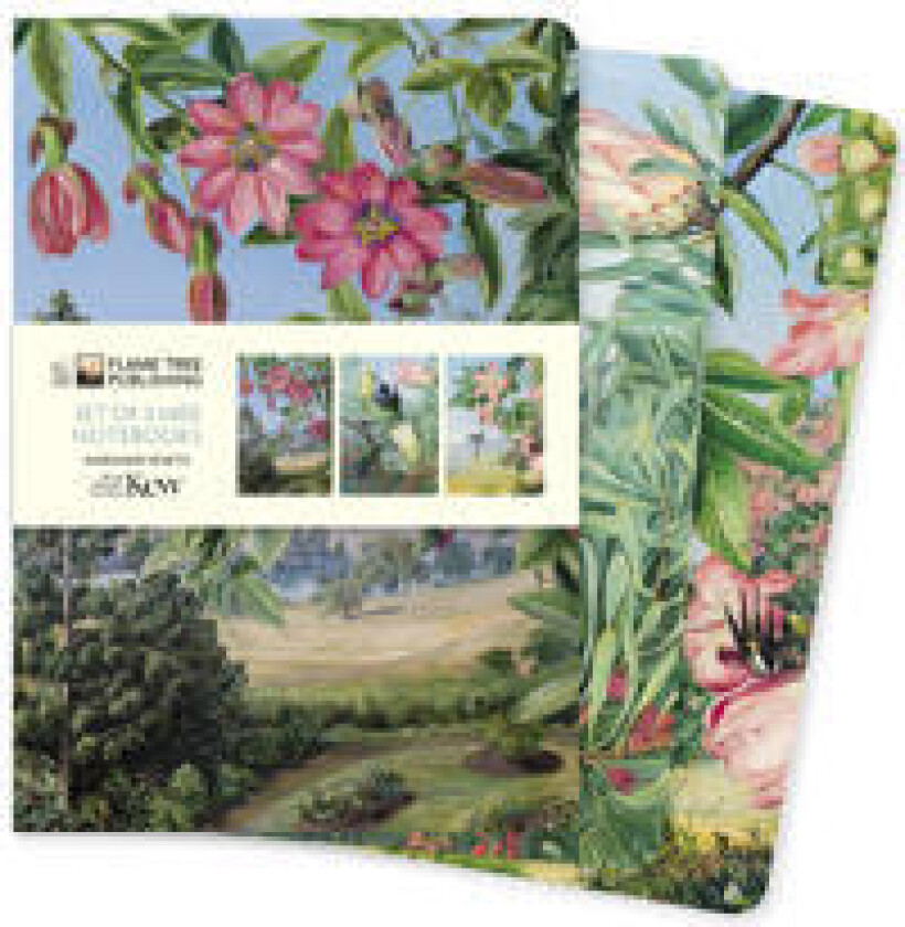 Kew Gardens: Marianne North Set of 3 Midi Notebooks