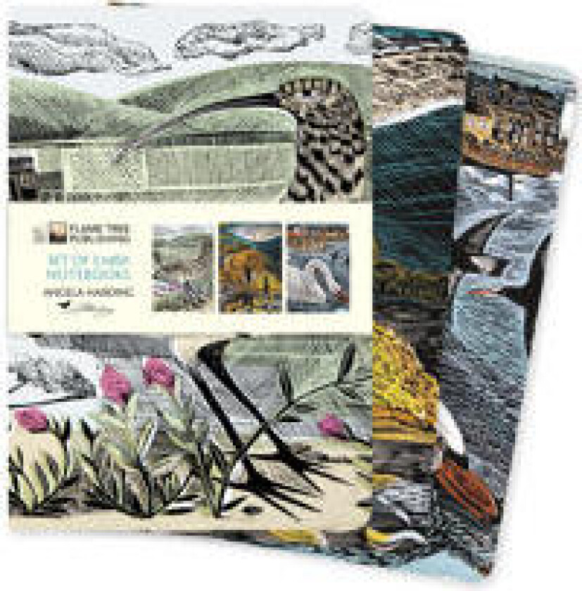 Angela Harding: Wildlife Set of 3 Midi Notebooks