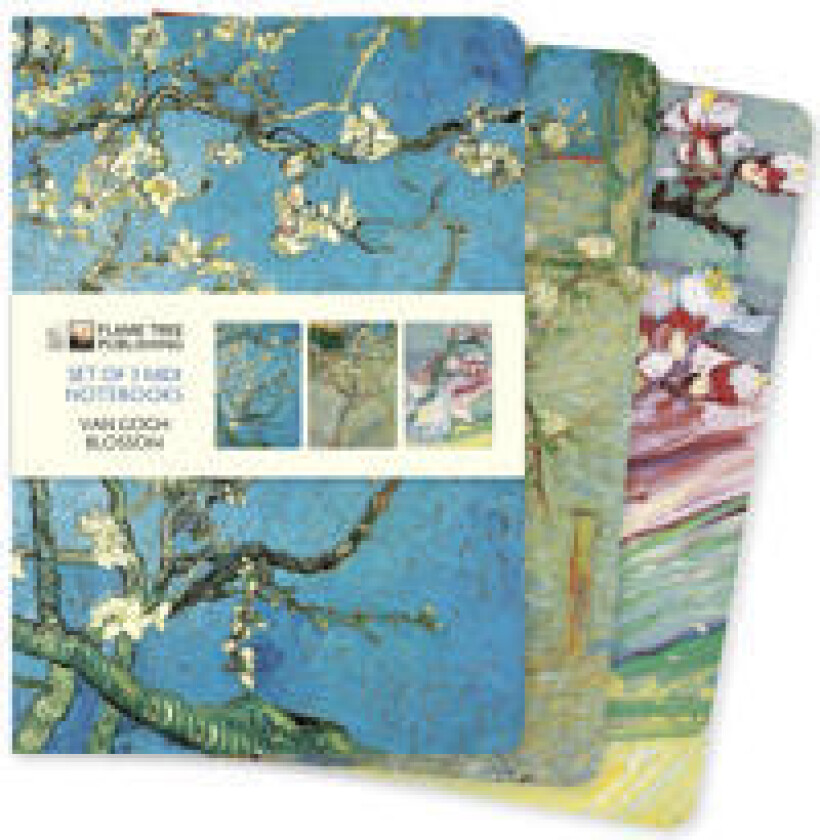 Vincent van Gogh: Blossom Set of 3 Midi Notebooks