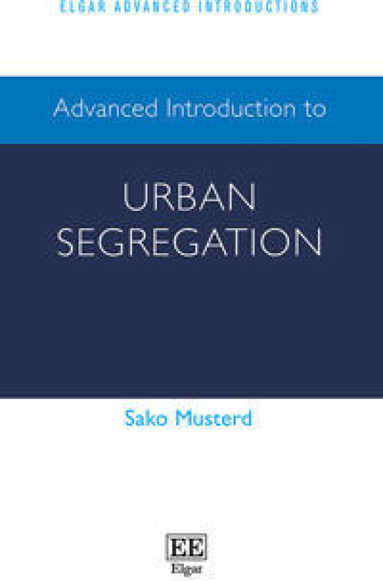 Advanced Introduction to Urban Segregation