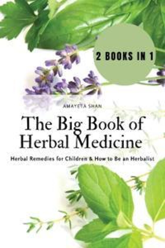 The Big Book of Herbal Medicine