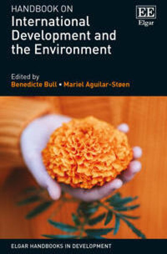 Handbook on International Development and the Environment