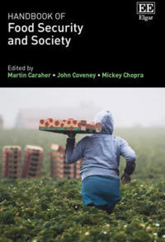 Handbook of Food Security and Society