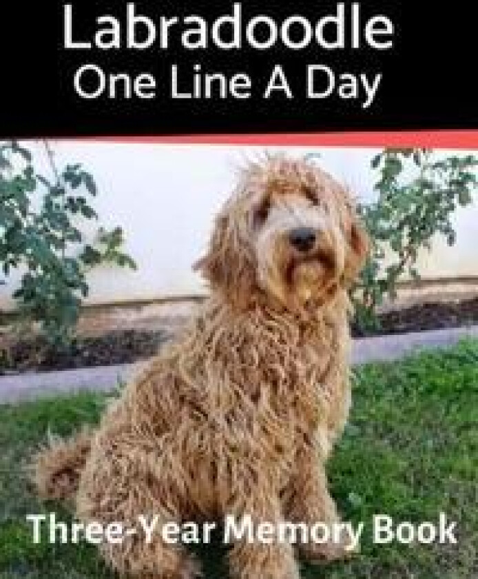 Labradoodle - One Line a Day