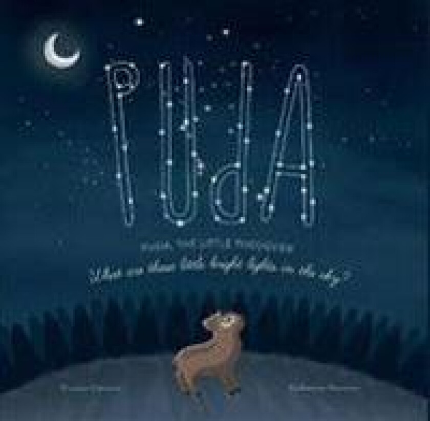 Puda, the little Pudúdeer