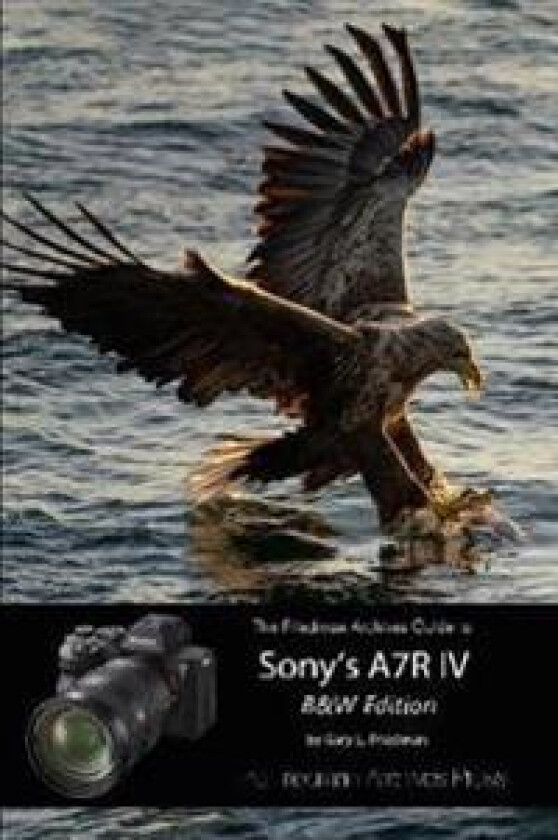 The Friedman Archives Guide to Sony's A7R IV (B&W Edition)