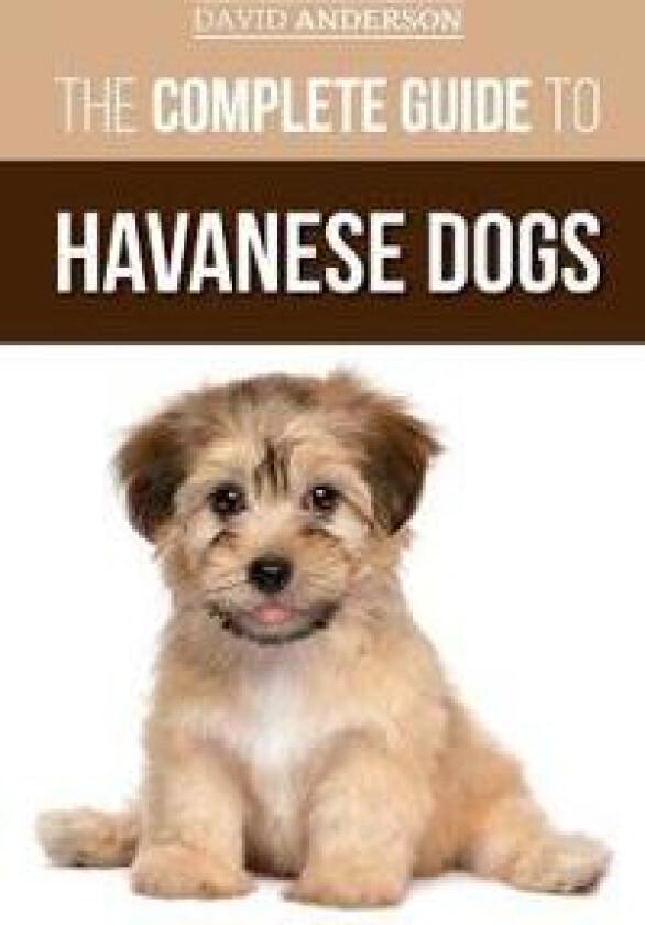 The Complete Guide to Havanese Dogs