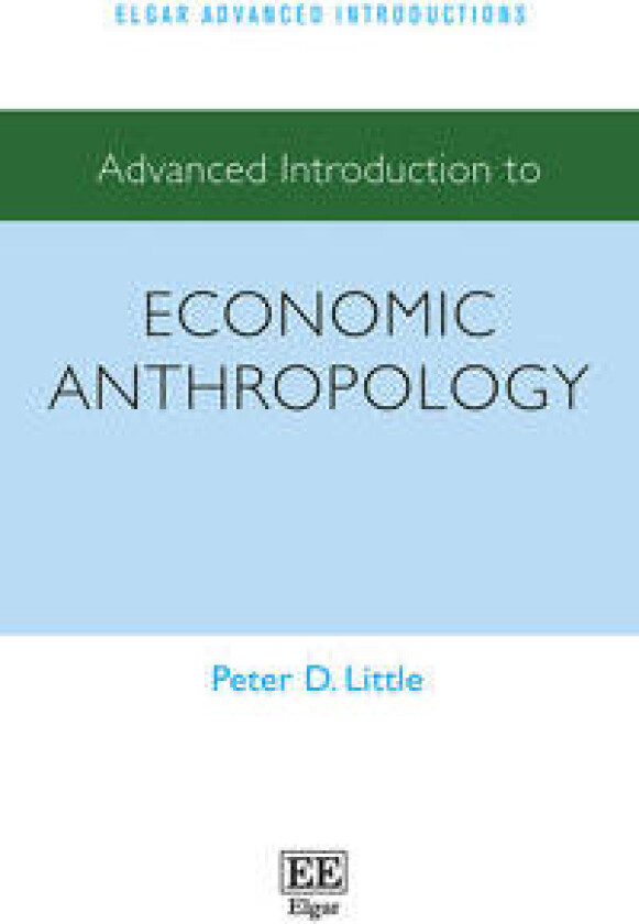 Advanced Introduction to Economic Anthropology