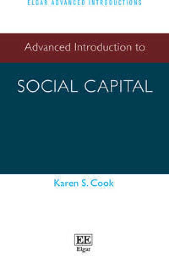 Advanced Introduction to Social Capital