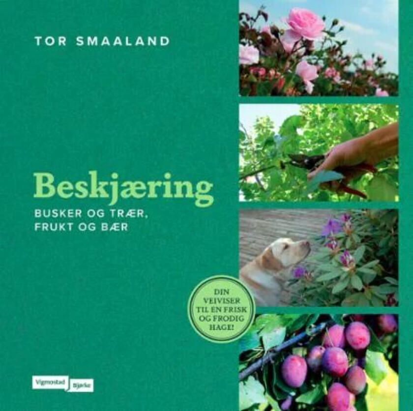 Beskjæring av Tor Smaaland