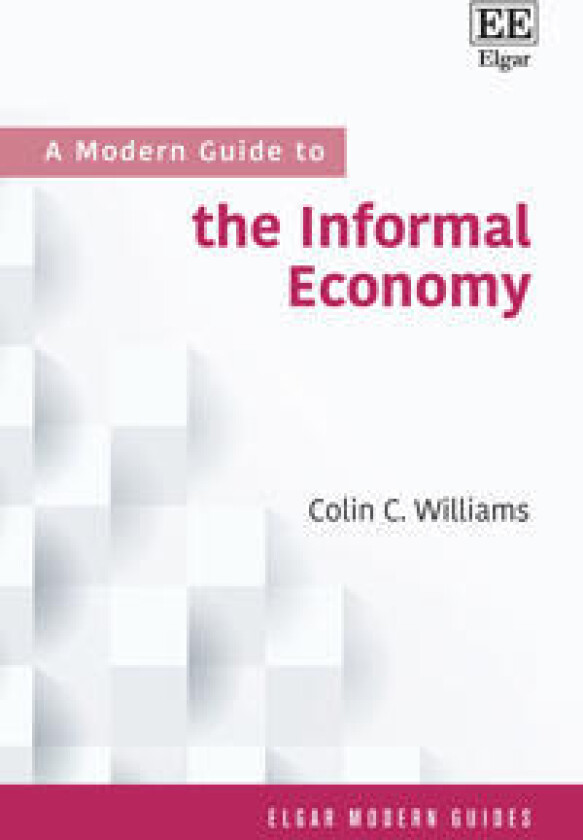 Modern Guide to the Informal Economy