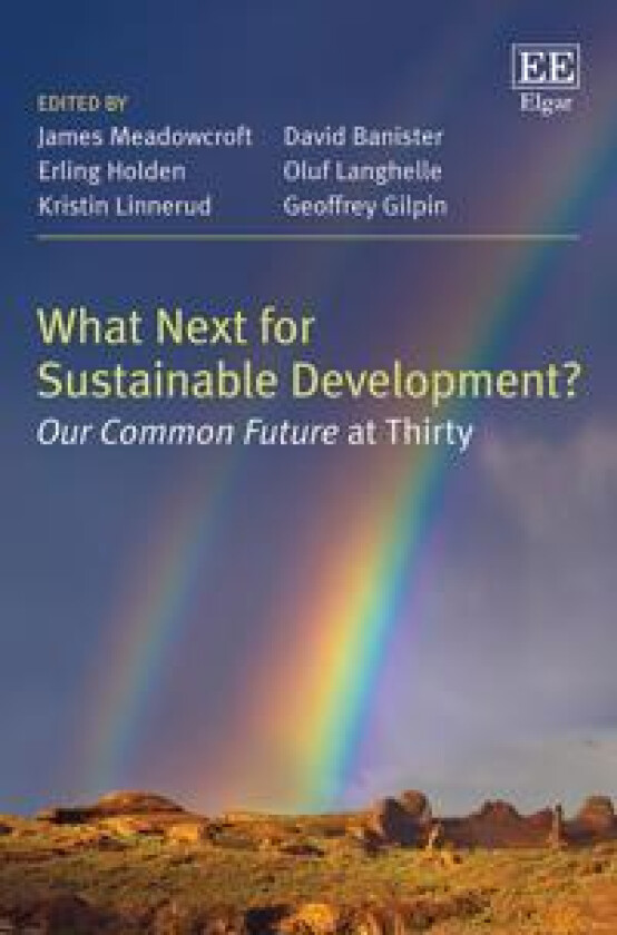 What Next for Sustainable Development?