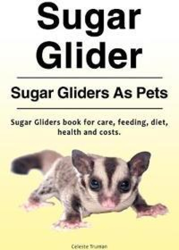 Sugar Glider. Sugar Gliders As Pets. Sugar Gliders book for care, feeding, diet, health and costs.