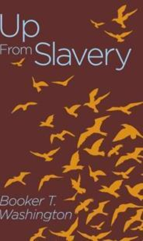 Up from Slavery