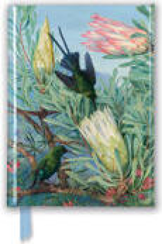 Kew Gardens' Marianne North: Honeyflowers and Honeysuckers (Foiled Pocket Journal)