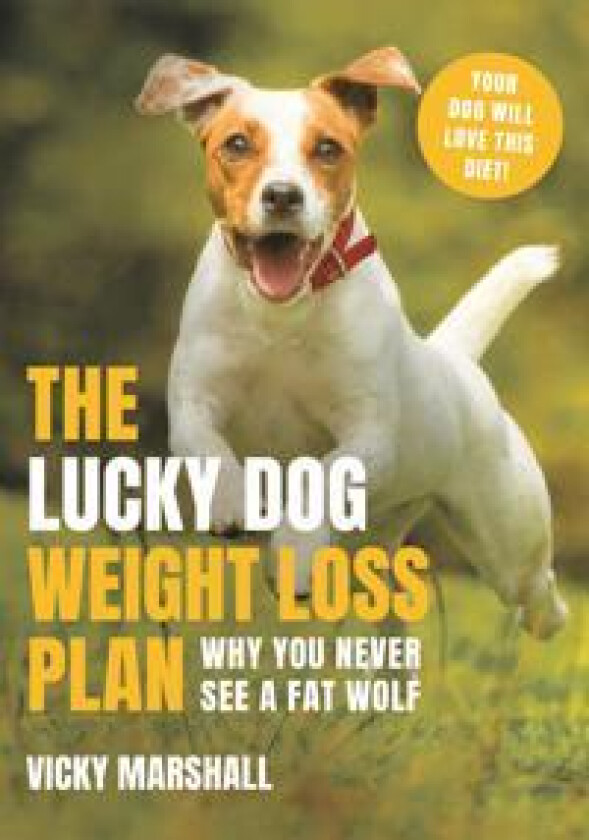 The Lucky Dog Weight Loss Plan