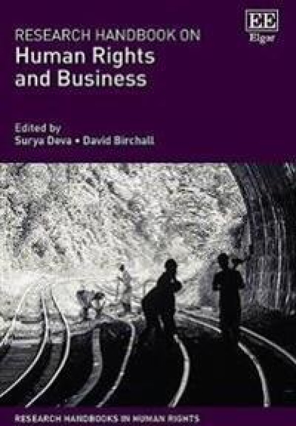 Research Handbook on Human Rights and Business