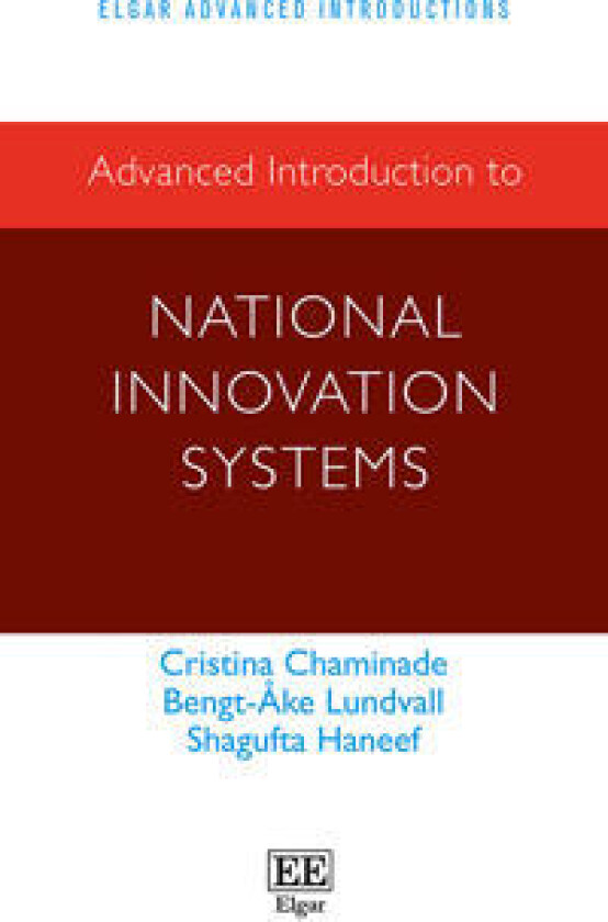 Advanced Introduction to National Innovation Systems