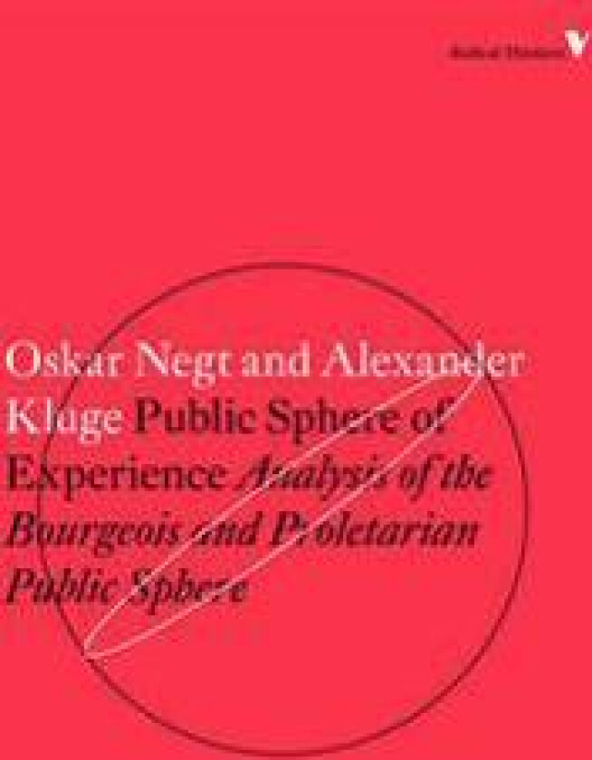 Public Sphere and Experience