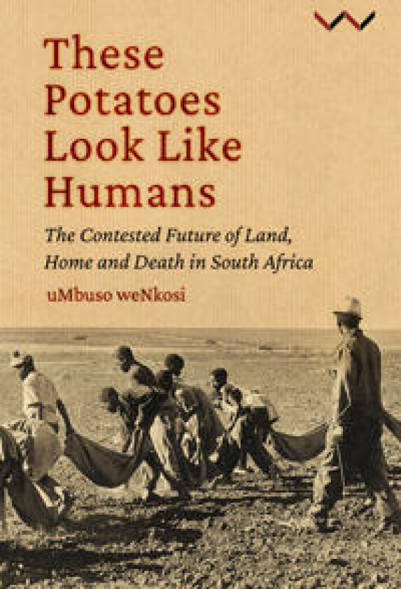 These Potatoes Look Like Humans