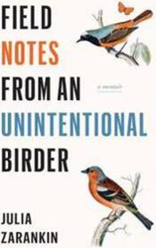 Field Notes from an Unintentional Birder