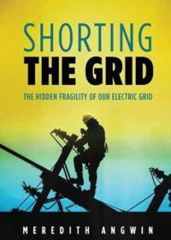 Shorting the Grid