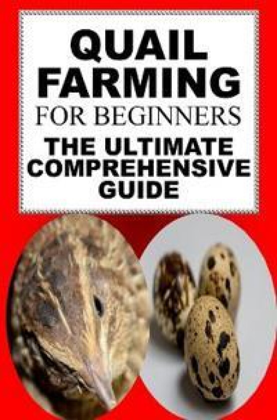 Quail Farming For Beginners