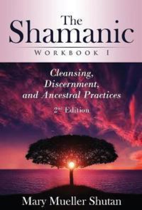 The Shamanic Workbook I