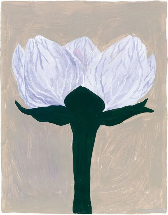 Slåtterblomma poster 40x50 cm