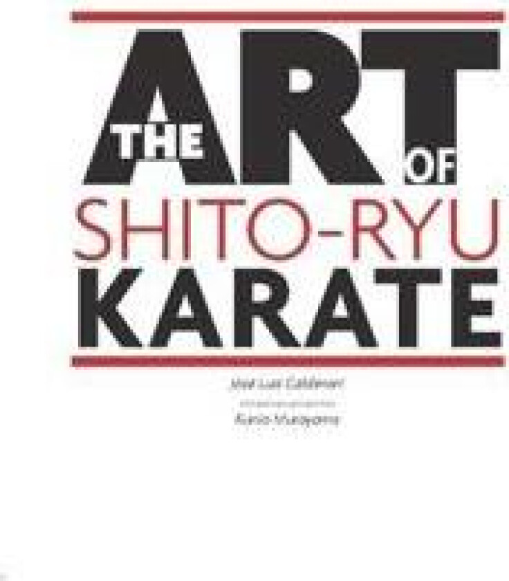 The Art Of Shito Ryu Karate