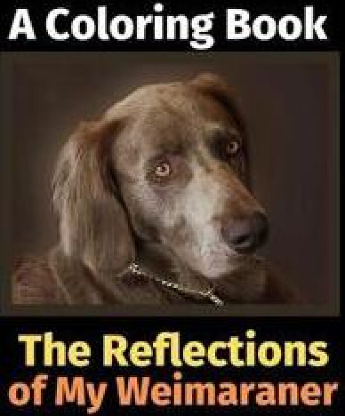 The Reflections of My Weimaraner