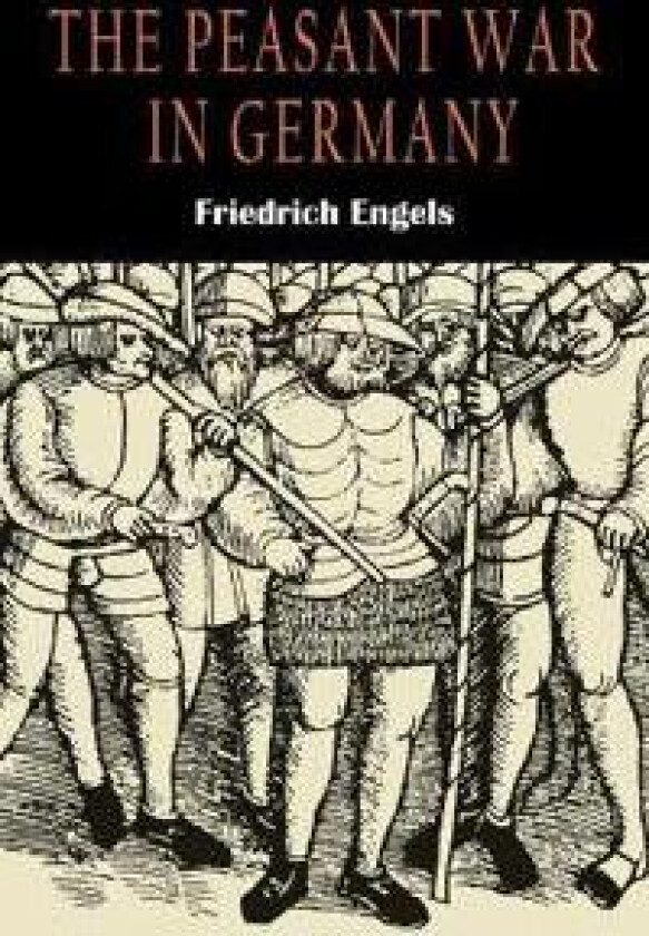 The Peasant War in Germany