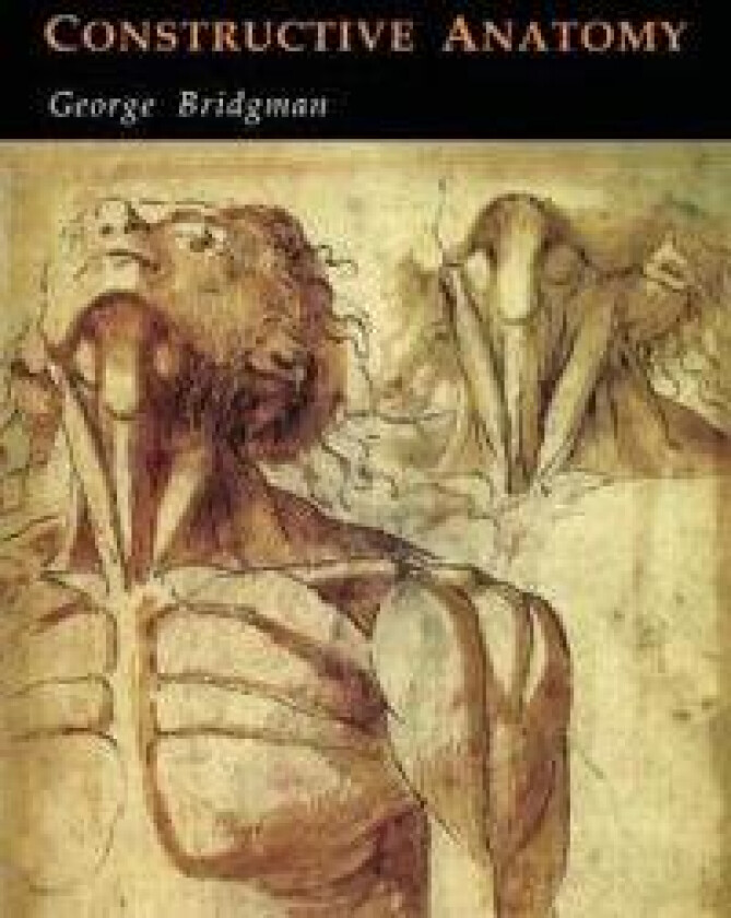 Constructive anatomy