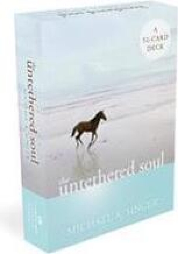 The Untethered Soul