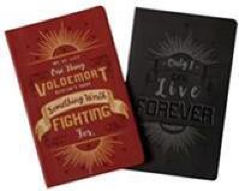 Harry Potter: Character Notebook Collection. Set of 2: Harry and Voldemort