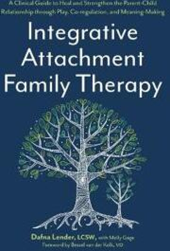 Integrative Attachment Family Therapy