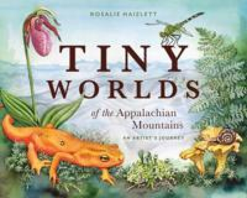 TINY WORLDS OF THE APPALACHIAN MOUNTAINS
