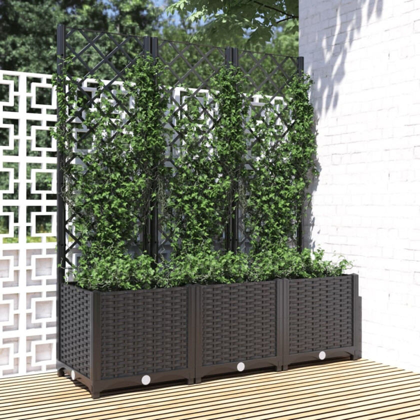 Plantekasse med espalier svart 120x40x136 cm PP